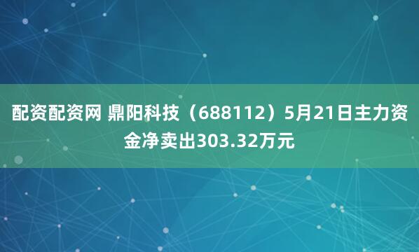 配资配资网 鼎阳科技（688112）5月21日主力资金净卖出303.32万元