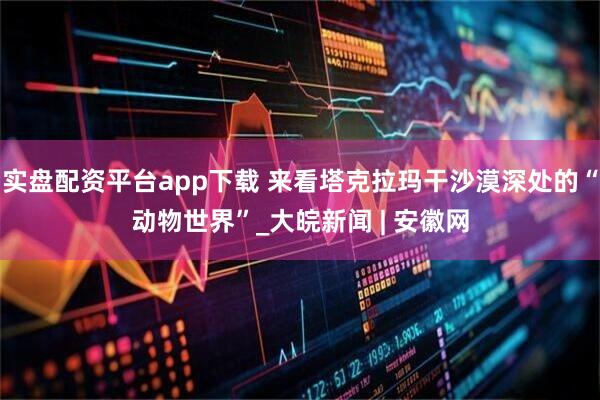 实盘配资平台app下载 来看塔克拉玛干沙漠深处的“动物世界”_大皖新闻 | 安徽网