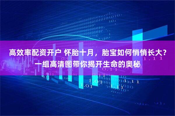 高效率配资开户 怀胎十月，胎宝如何悄悄长大？一组高清图带你揭开生命的奥秘